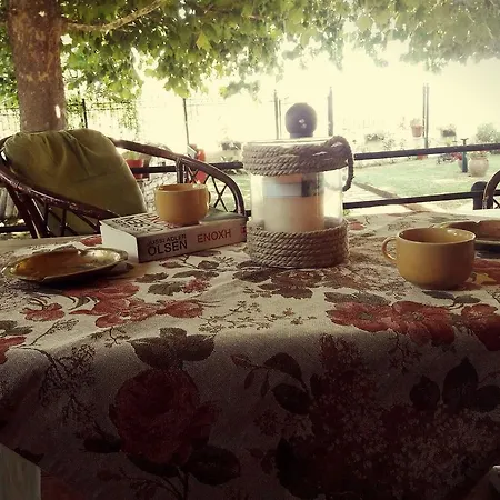 Seaside Vakantiehuis *